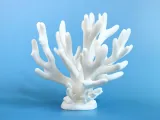Coral Decor & Jewelry Holder-7