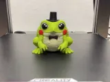 Elegant Frog - [ NO CFS/AMS ]-2