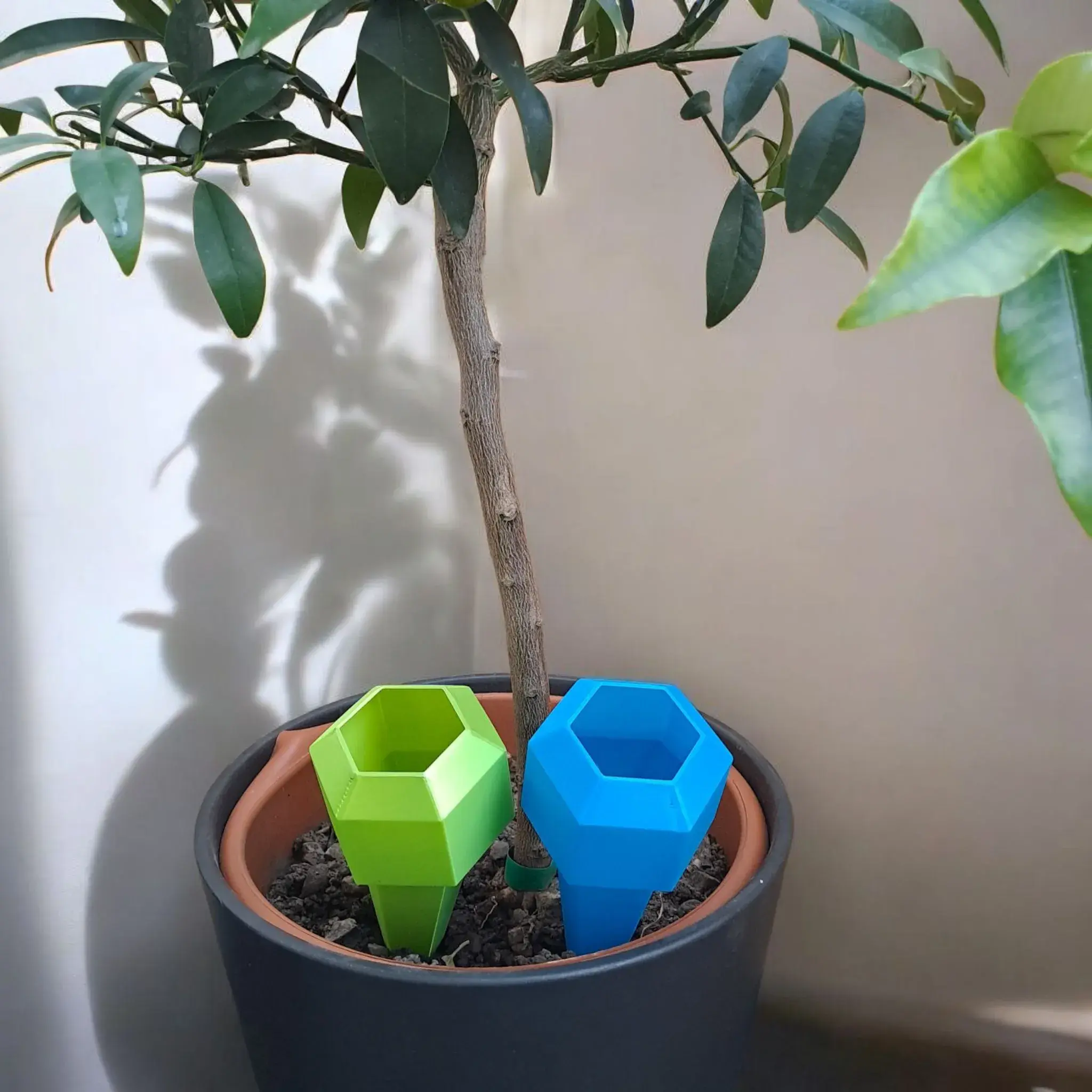 Hexagonal Plant Watering Spike for Plant Lovers