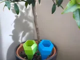 Punta de riego hexagonal para plantas para los amantes de las plantas-4