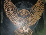 Owl Picture-0