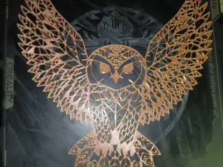 Owl Picture