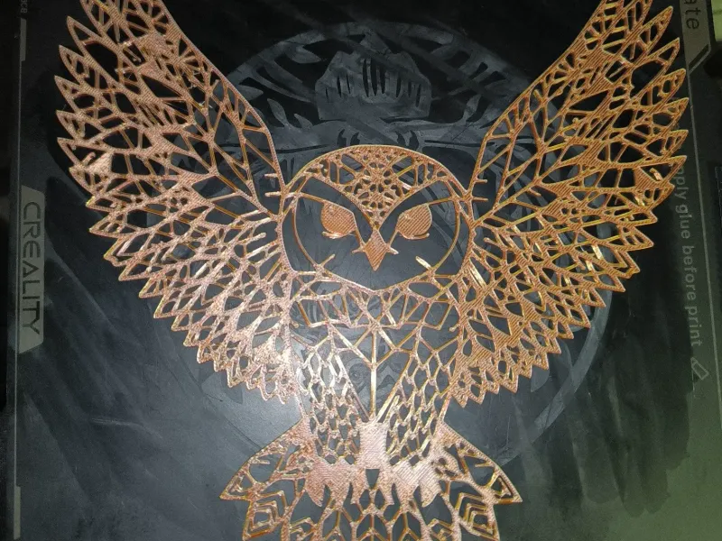 Owl Picture