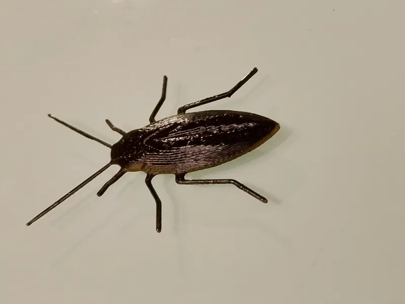 cucaracha para bromas