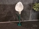 Calla lily multi-part-1