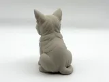 Grumpy Guardian Cat-2