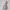 Silver Allure – Ecchi Figurine
