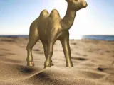 Camel-0
