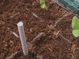 Precision Seed Hole Punch-2