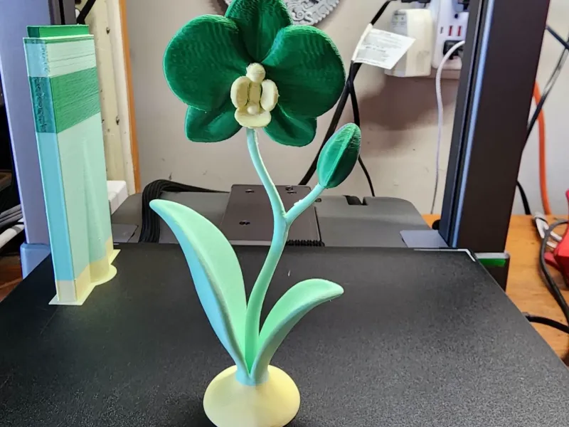 orchid 3 colors