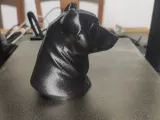 busto de mascota-4