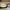 Zuckerwatte-Fledermaus-Oval-Logo-Presse