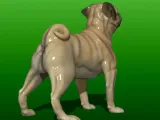 JEUNESSE PUG-3
