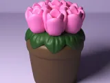 Potted Tulip-2