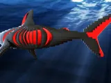 Shark-2