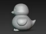 a duck-4
