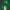 Tatsumaki Cover OPM 206