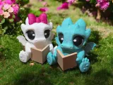 Dragon V2 reading book-1