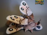 [Exclusive]Classical moth-6