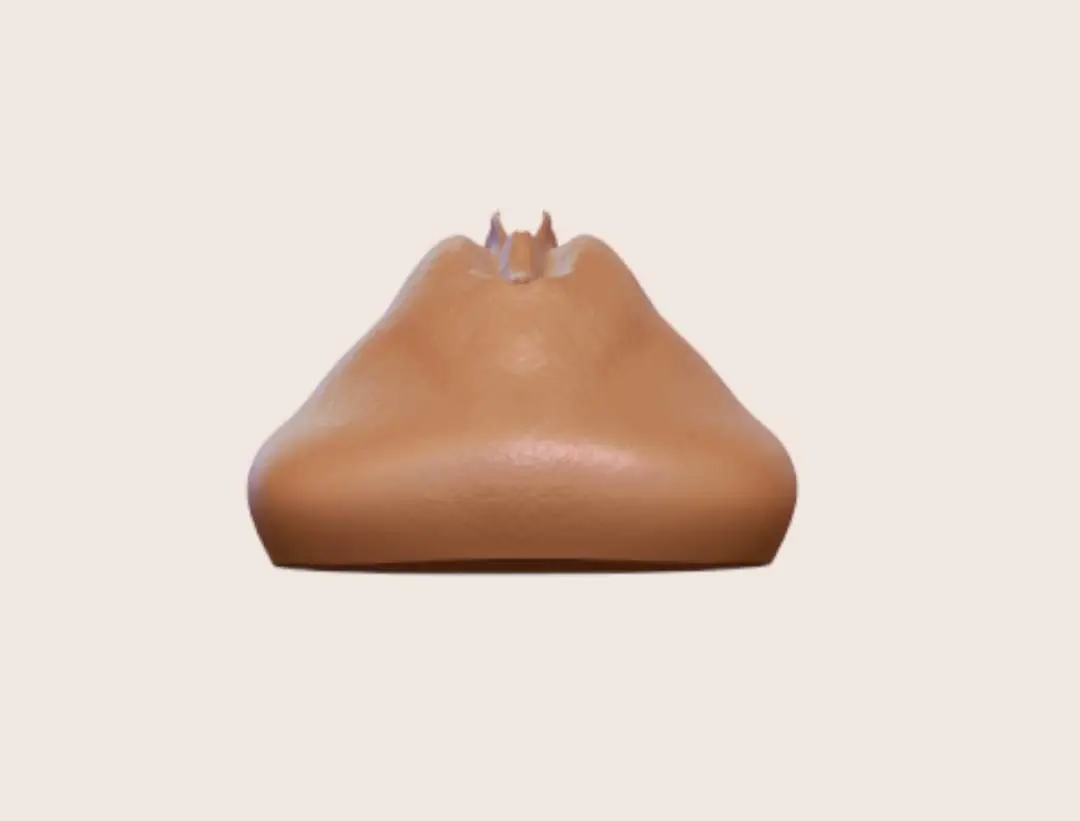 bachelor party vagina ornament 