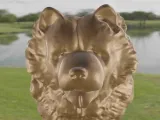 Dog Chow Chow-1