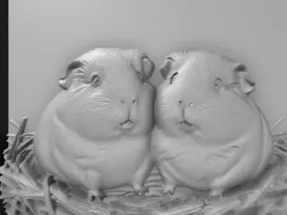 guinea pig duo nest nesting in a straw nest