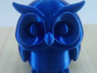 Owl Cute