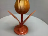 The Enchanted Tulip-4