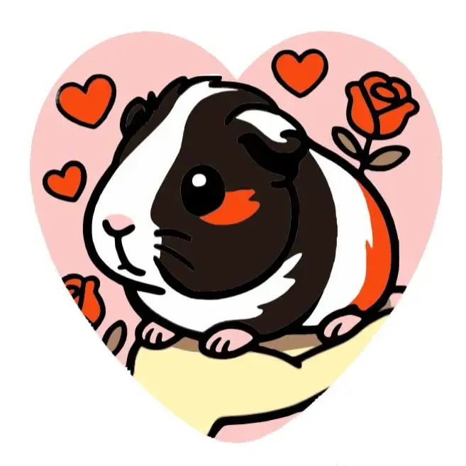 Valentine's Guinea Pig Magnet