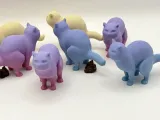 Funny Pooping Cat-2