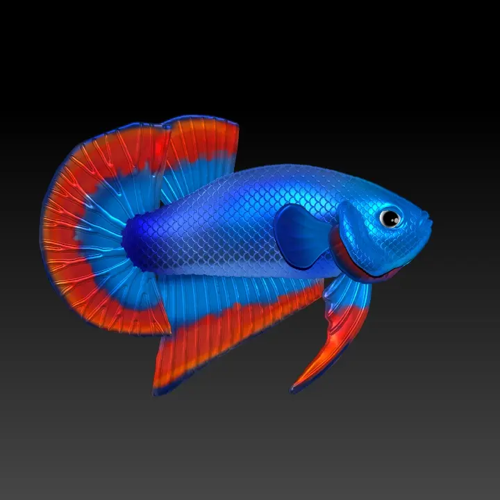 BETTA FISH 2