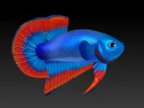 BETTA FISH 2-0