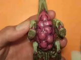 Bug cannon-1