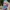 Lagoona Blue's Seesterne Ohrringe Monster High