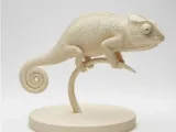 Camaleão-0