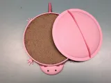 Axolotl Sandbox-7