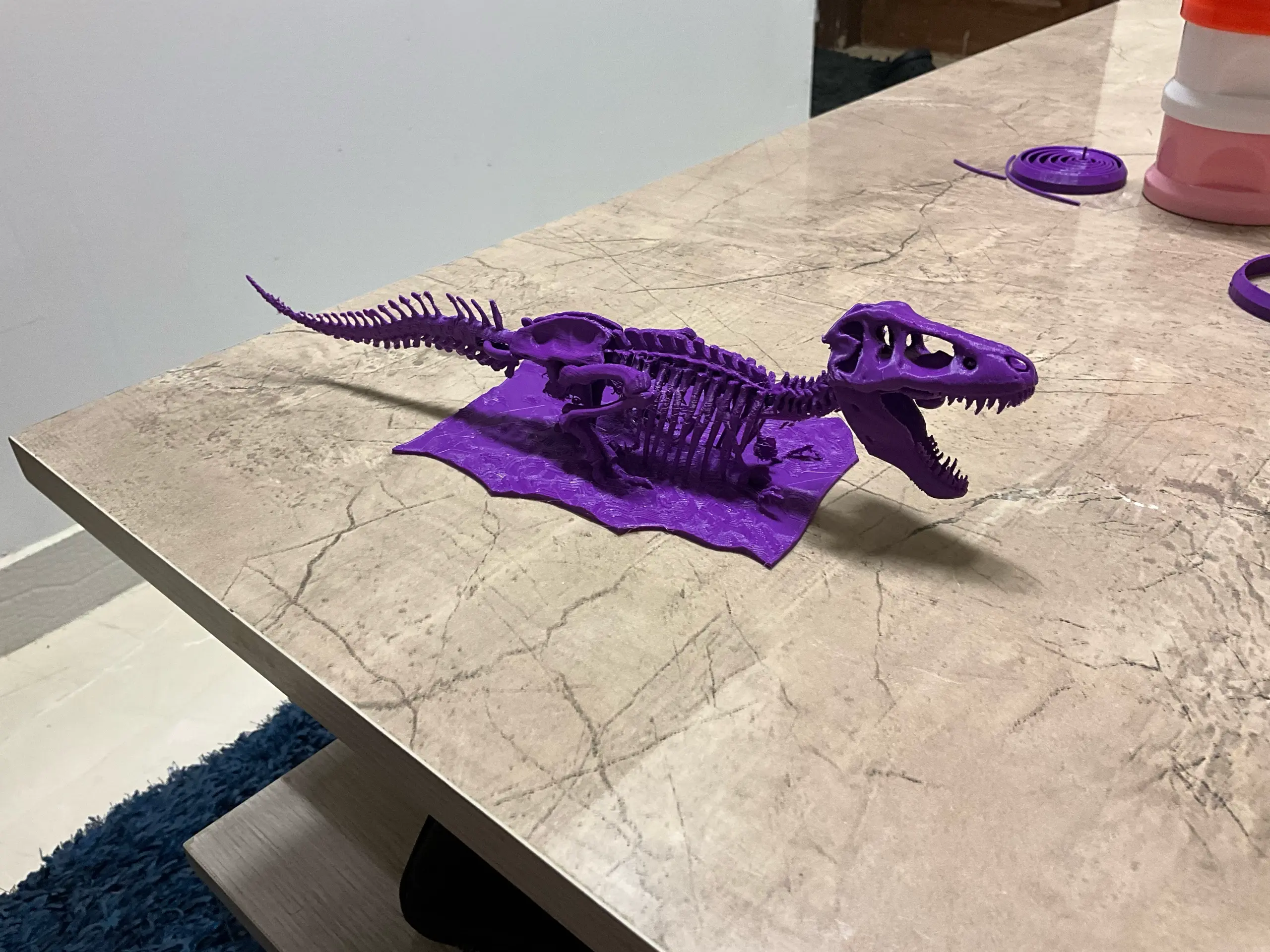 T-Rex skeleton decor