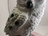 owl-1