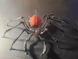 spider-1