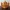 Aurelia’s Poinsettia Crown