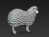 sheep-3