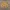 Lord of the Rings Title Logo