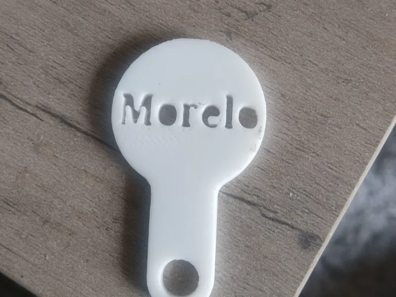 Shopping cart €, for Morelo owners 