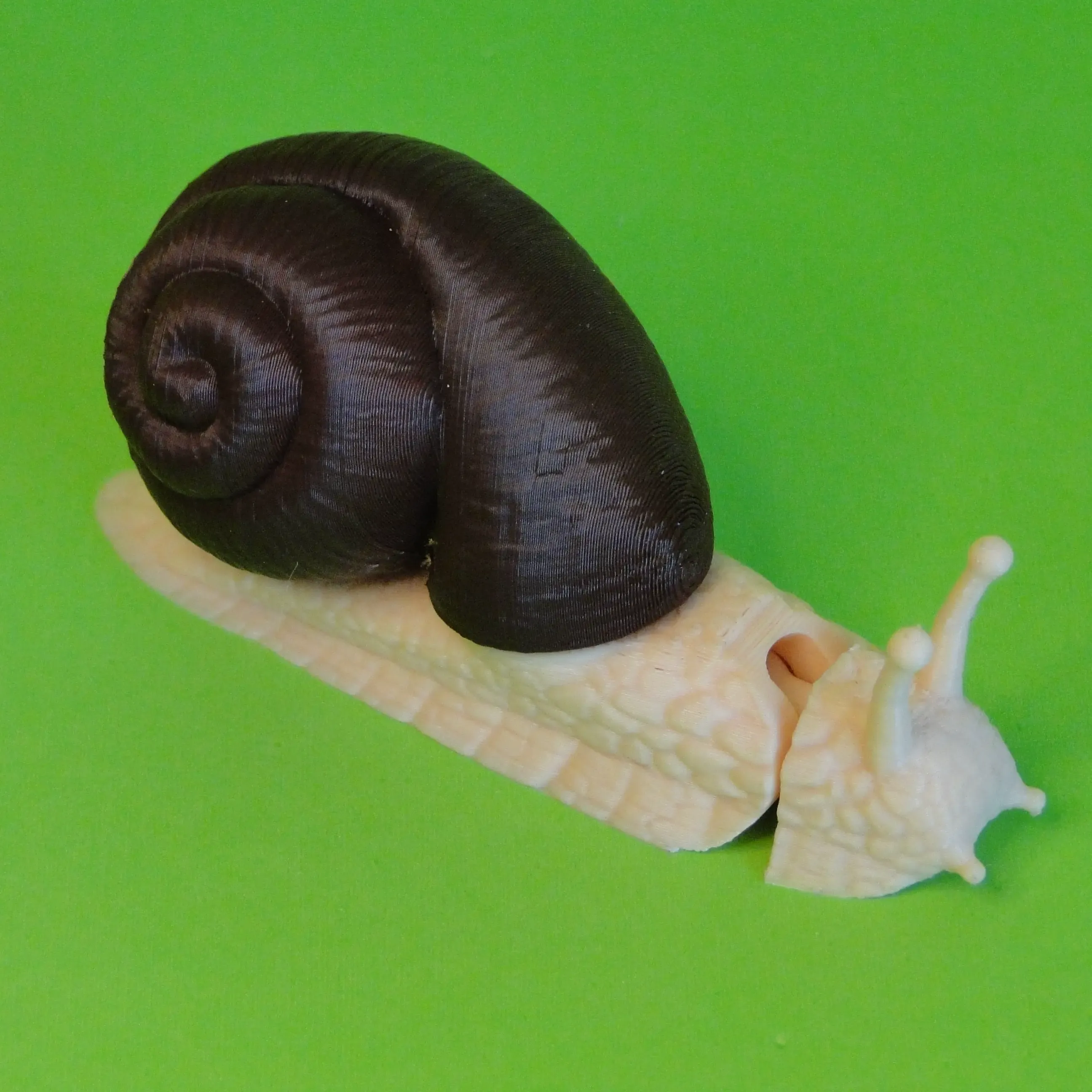 Snail BEAST MIX