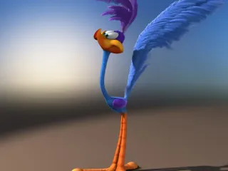 road runner