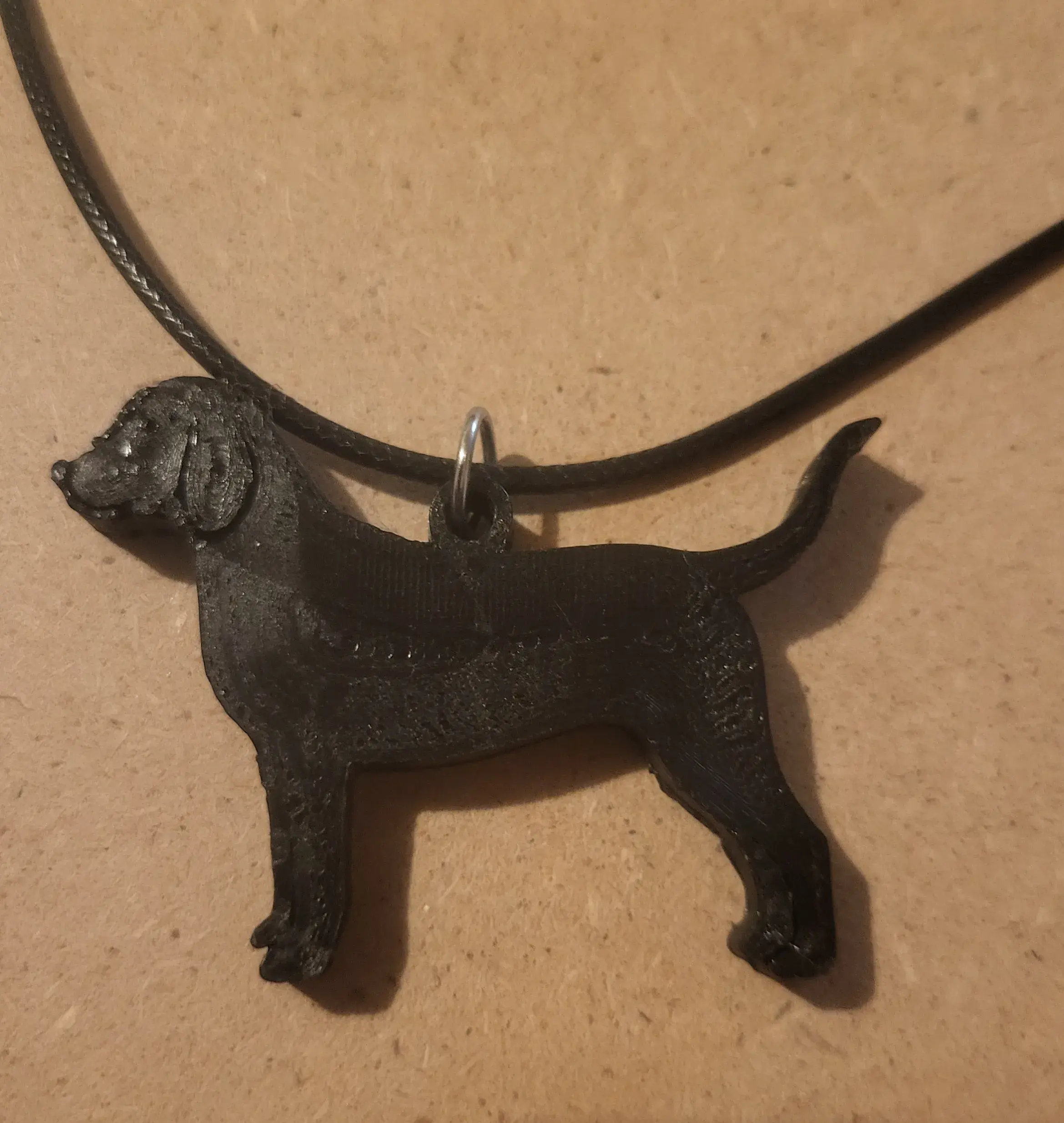 Dog Breeds Collection #05 - Beagle