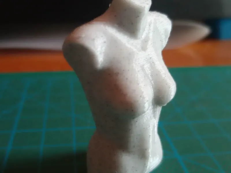 Female Torso Mannequin