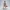 Rhea Momentum – Ecchi Figurine