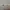 NBA Basketball Sneaker Tag