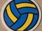 volleyball coaster!-0